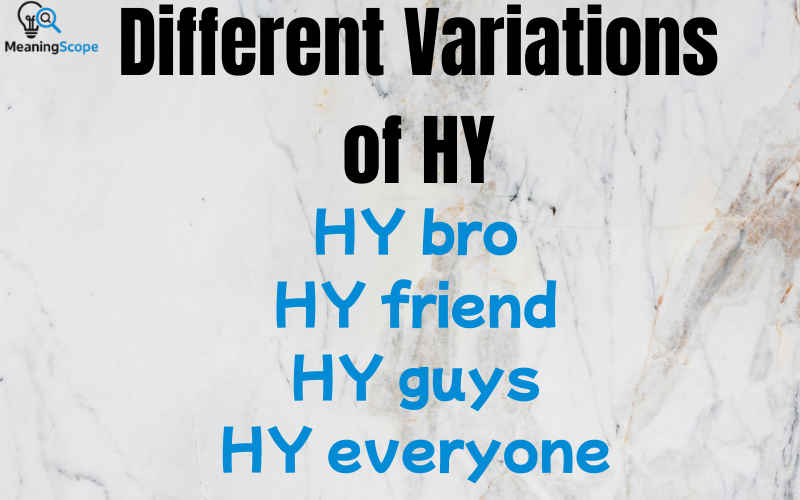 HY Meaning In Text