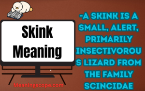Skink Meaning