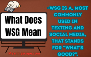 What Does WSG Mean