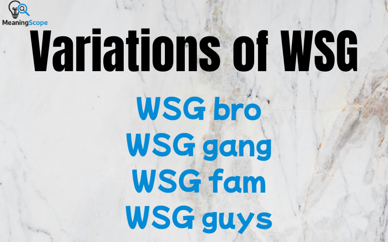 What Does WSG Mean