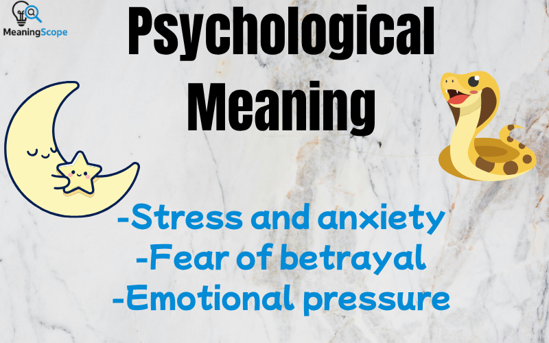 Black Snake Dream Meaning