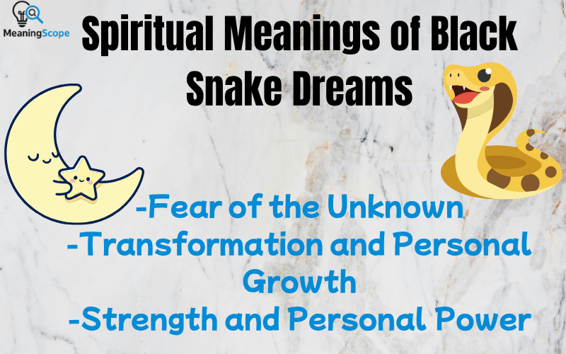 Black Snake Dream Meaning