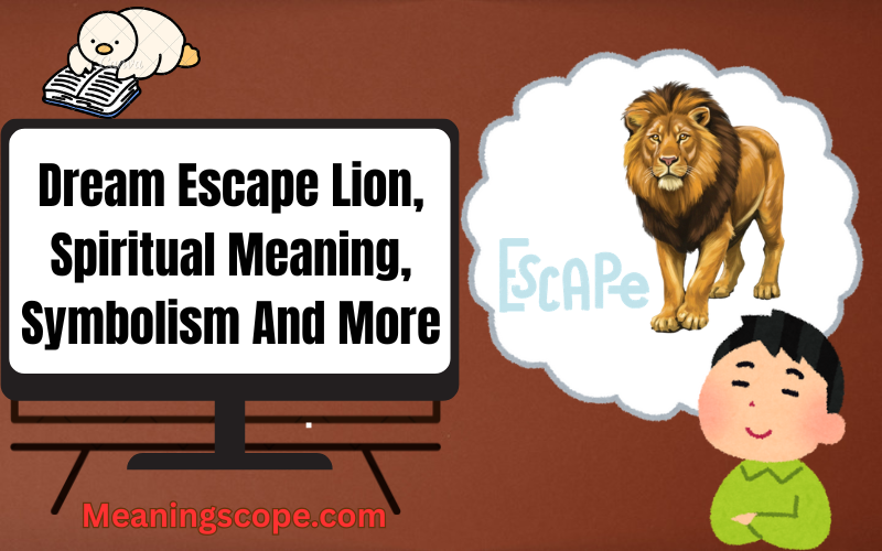 Dream Escape Lion