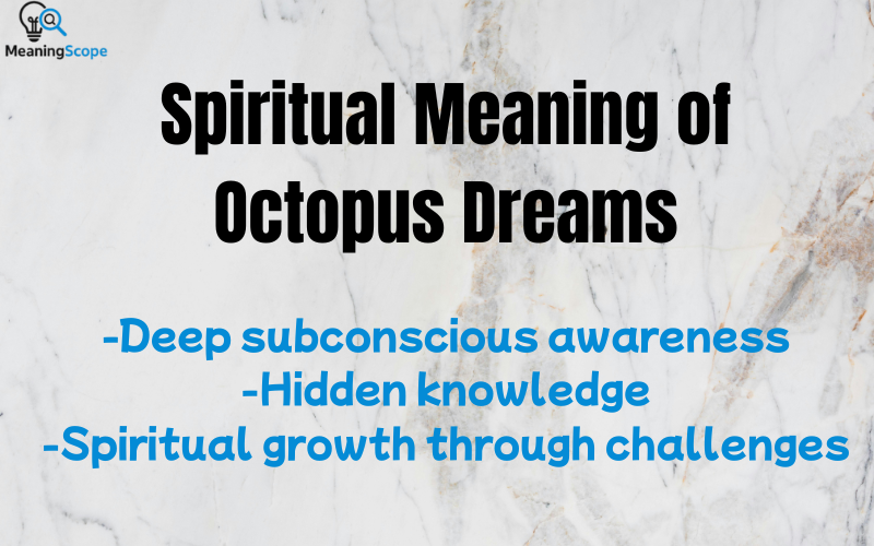Octopus Dream Meaning