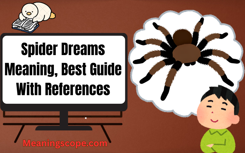 Spider Dreams Meaning