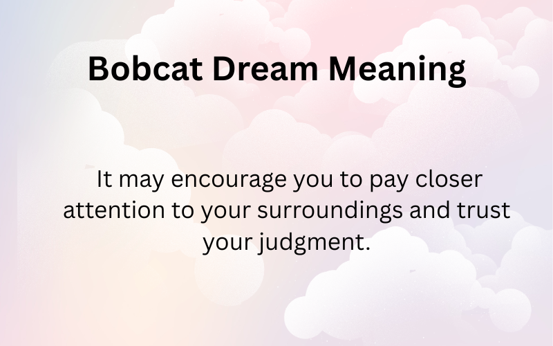 Bobcat Dream Meaning