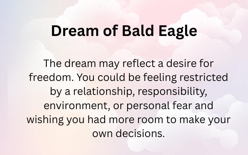 Dream of Bald Eagle