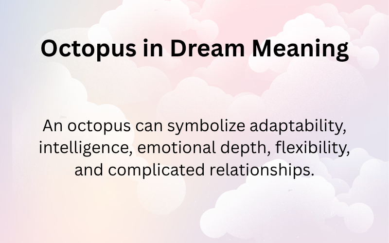 Octopus in Dream Meaning