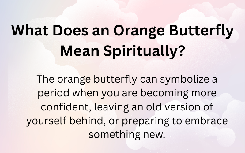Orange Butterfly Spiritual Meaning