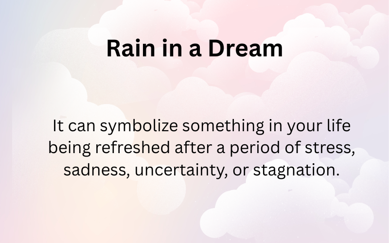 Rain in a Dream