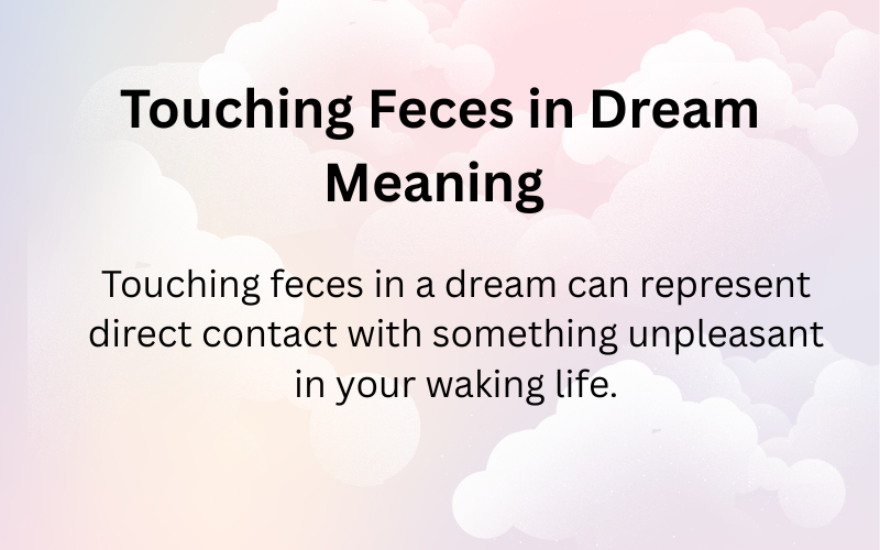 Touching Feces in Dream Meaning 