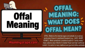 Offal Meaning