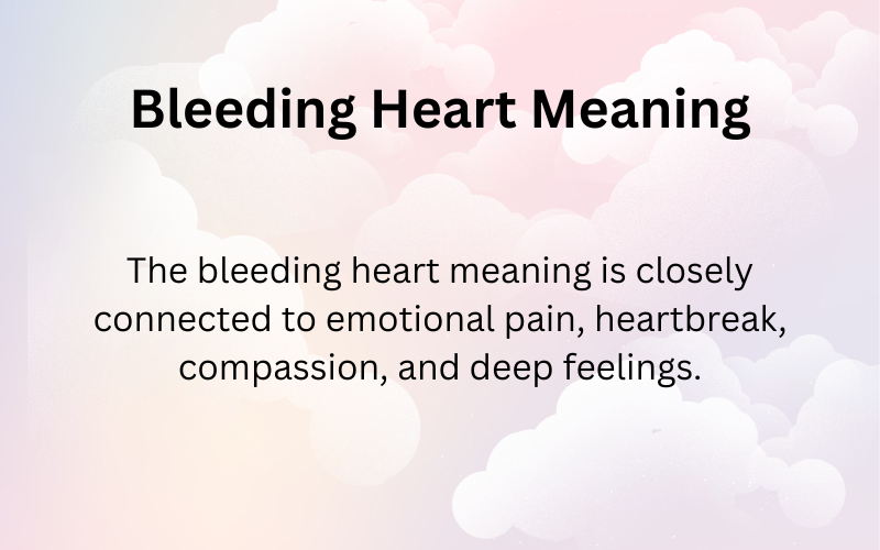 Bleeding Heart Meaning