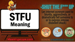 STFU Meaning